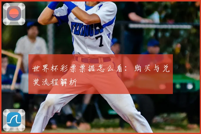 世界杯彩票票据怎么看:购买与兑奖流程解析