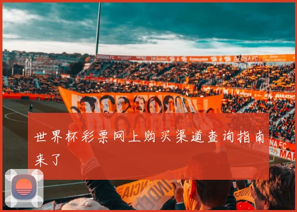 世界杯彩票网上购买渠道查询指南来了