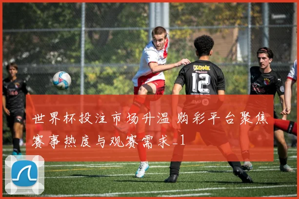 世界杯投注市场升温 购彩平台聚焦赛事热度与观赛需求_1