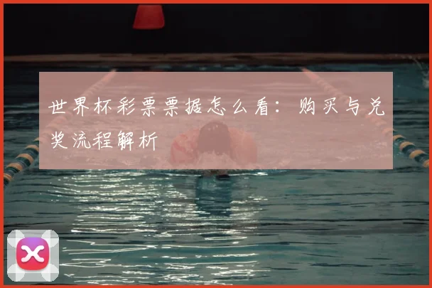 世界杯彩票票据怎么看：购买与兑奖流程解析