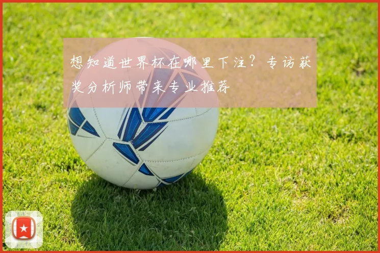 想知道世界杯在哪里下注？专访获奖分析师带来专业推荐