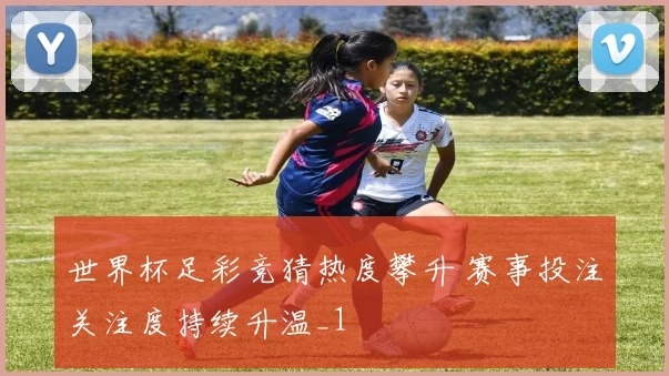 世界杯足彩竞猜热度攀升 赛事投注关注度持续升温_1