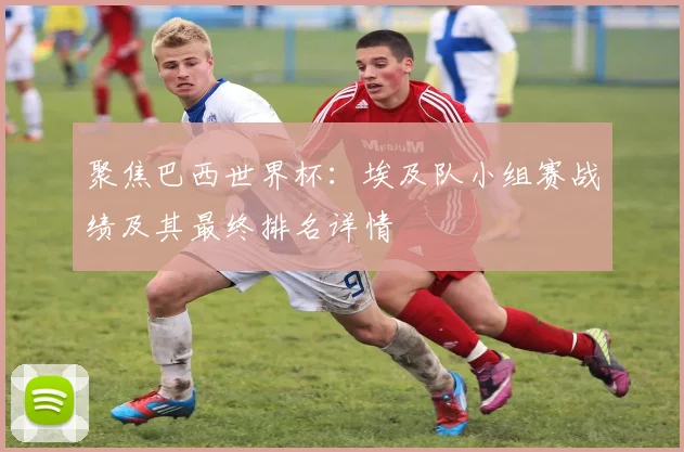 聚焦巴西世界杯：埃及队小组赛战绩及其最终排名详情