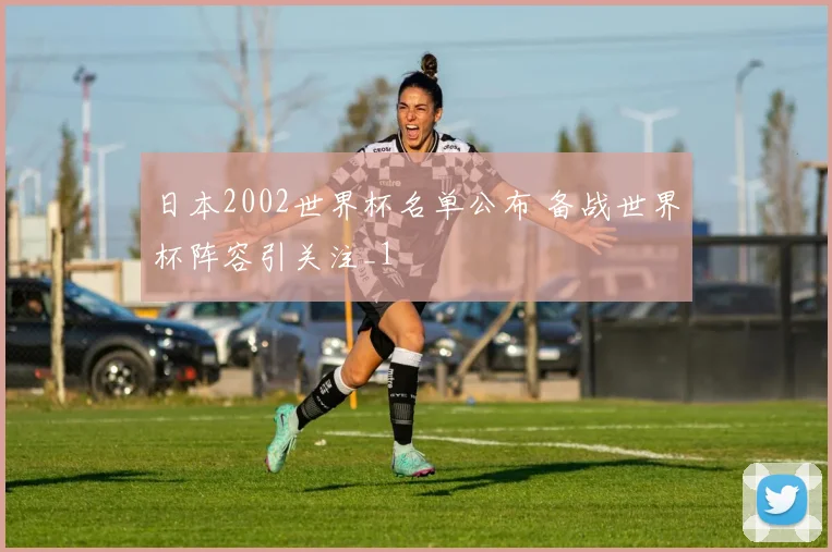 日本2002世界杯名单公布 备战世界杯阵容引关注_1